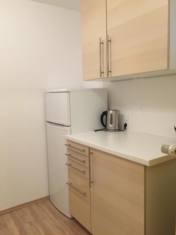 Advice & Advise Apartment Χαϊδελβέργη Εξωτερικό φωτογραφία
